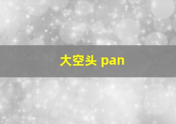 大空头 pan